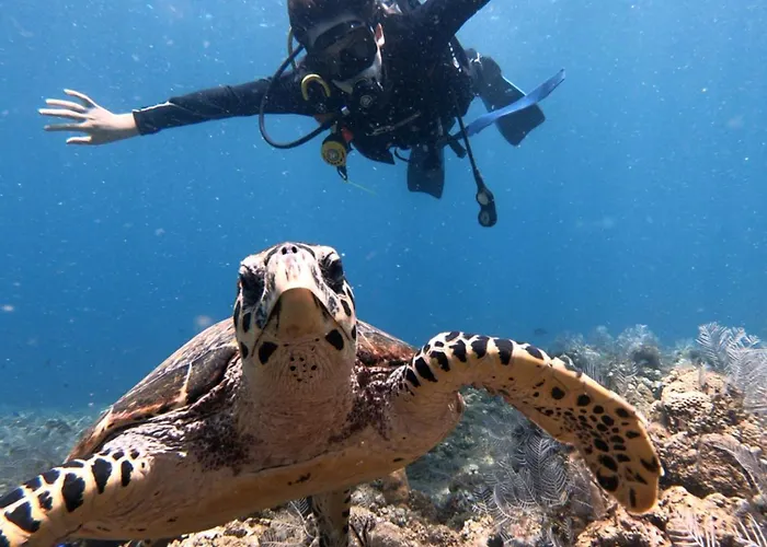 Hotel Bali Diversity Dive 3*