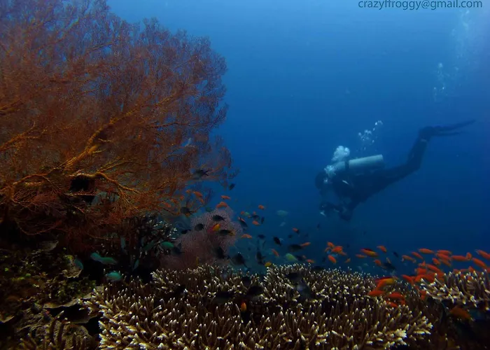 Bali Diversity Dive 3* Amed (Bali)